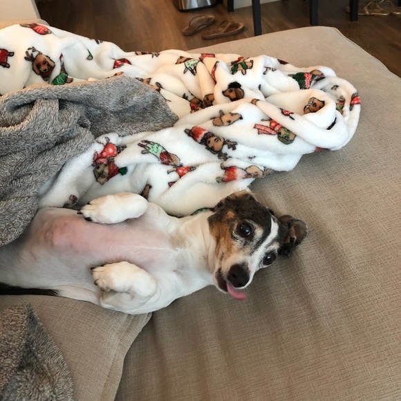 Meet the Posher, Kelsey! 😊 - Picture 5 of 6